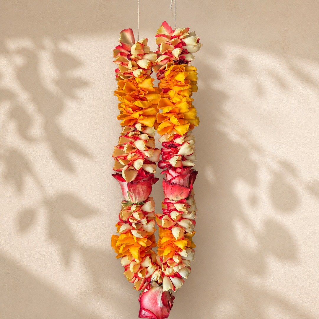 Sunset orange, yellow, cream, and pink rose petal garland on a warm leaf shadow background